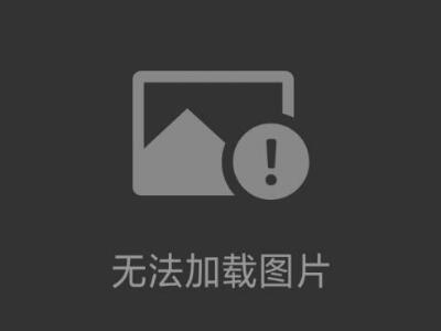 Bently11MM延長電纜330130-080-13-CN
